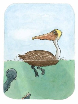 There Was An Old Gator (1)_Page_16